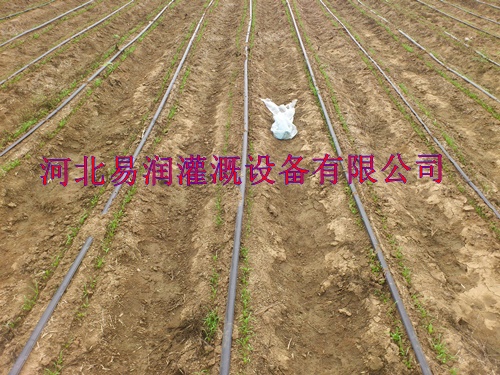 宝鸡市岐山县扁水带专用多口出水精品滴灌带