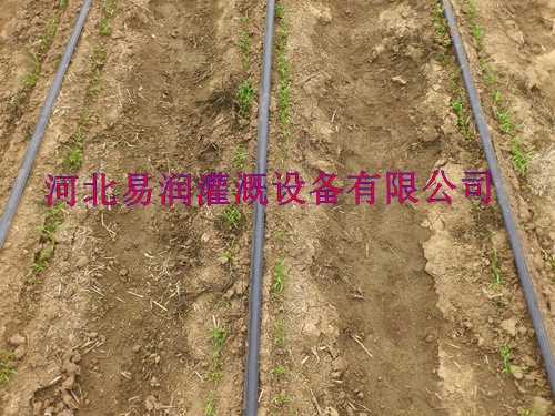 宝鸡市扁水带批发采购 岐山县滴灌带厂家