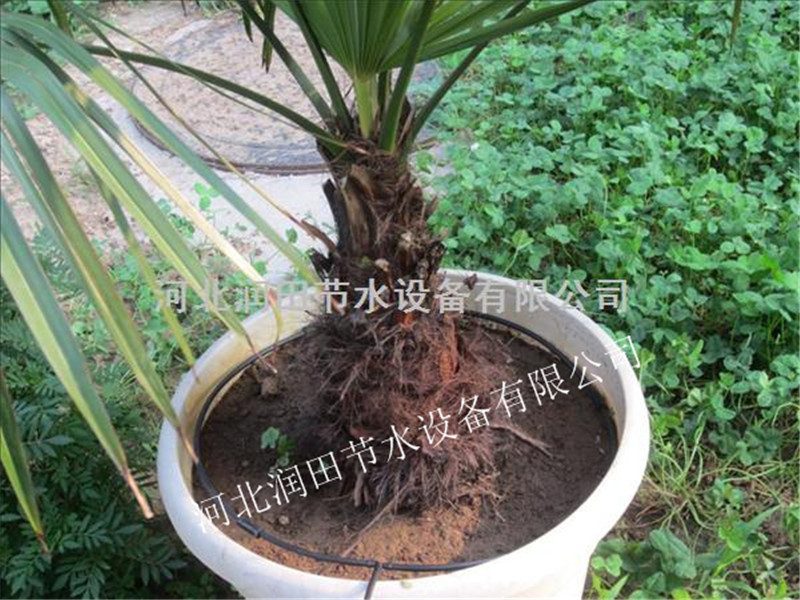 陕西安康市石泉县核桃灌溉水肥一体化 稳流器 小管出流