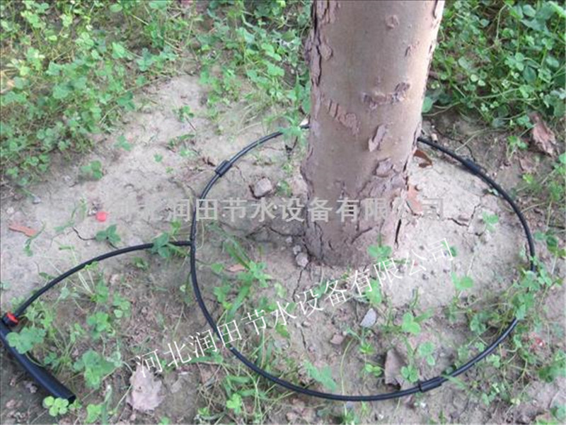 苹果滴灌毛管价格 陕西安康市石泉县果园黑色滴管 分流管