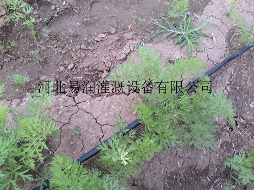 滴灌带滴灌设备 宝鸡岐山县出水带价格更低