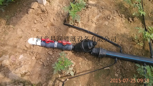 宝鸡滴灌带质量更好 岐山县出水带滴灌厂家
