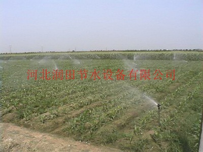 zy-2喷头安装 湖南会同县铝合金喷头