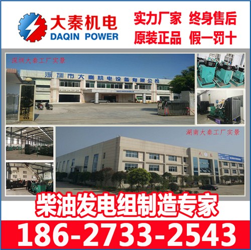 益阳柴油发电机数据中心专用 大秦机电供