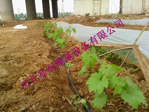 黑色滴水管系统生产商|汉中市南郑县滴灌管
