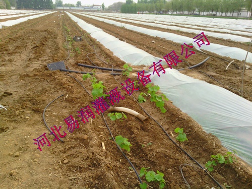 生产农用黑色滴水管|汉中市南郑县滴灌管专选