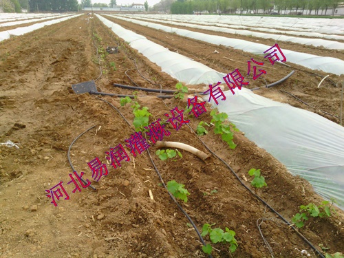 汉中市南郑县黑色滴水管、滴灌管批发商