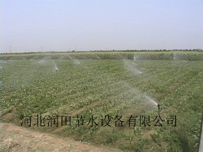 陕西安康市汉阴县ZY-2喷头性能参数可咨询厂家