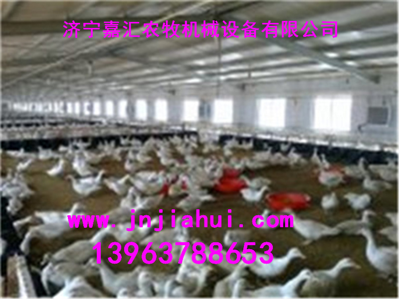 嘉汇农牧产蛋箱