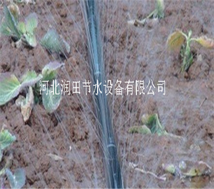 喷灌带 四川泸州古蔺县抗氧化塑料蔬菜喷水带