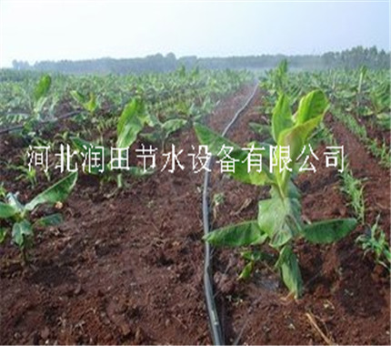 喷灌带 四川泸州古蔺县抗氧化塑料蔬菜喷水带