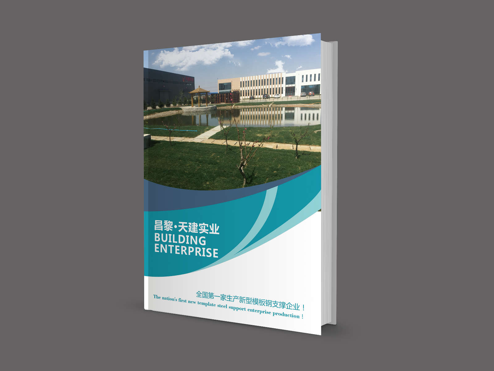 建筑模板支撑专用_新型建材方钢背楞_提升工程质量