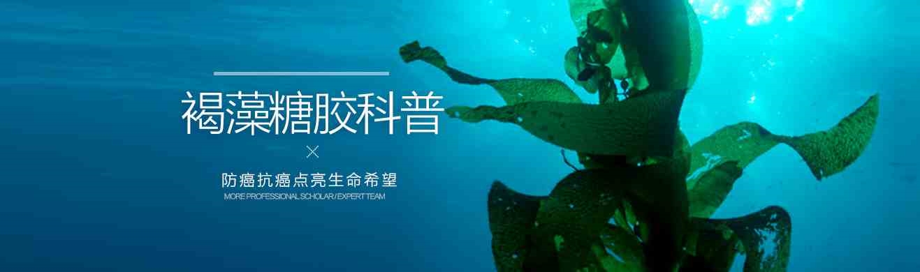 馥阔（上海）生物科技牛樟菇优质供应商，保健食品高性价比，可