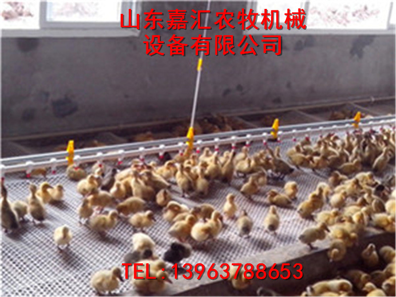 嘉汇农牧鸭用供水线