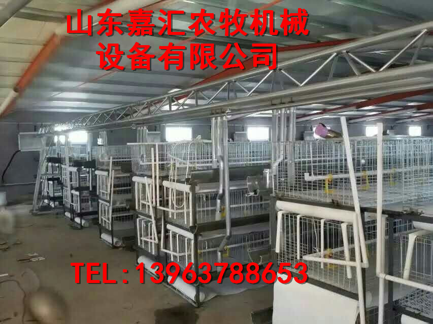 嘉汇农牧新品自动上料机