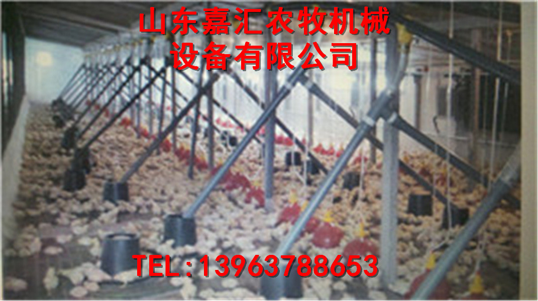 嘉汇农牧新品.鸭用料线