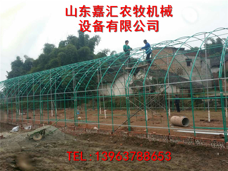 嘉汇农牧新品大棚.
