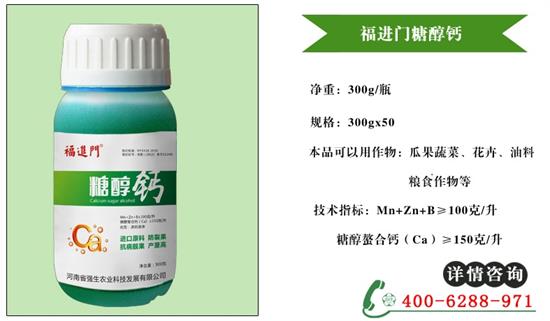 西红柿缺钙认准福进门糖醇钙