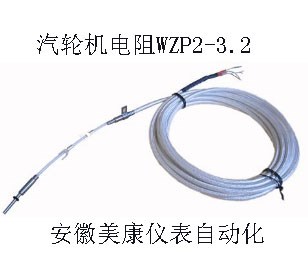 WZP2-6.4汽轮机铂电阻价格 WZP2-3.2汽轮机铂电阻 汽轮机铂电阻厂家