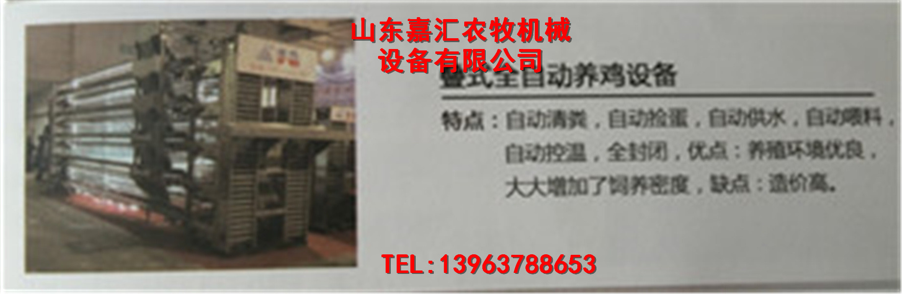 嘉汇新品机械笼养蛋鸡