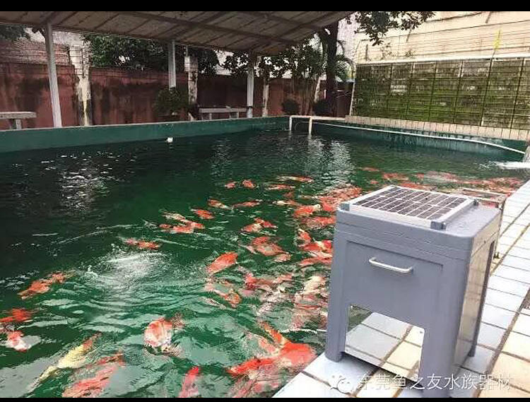 海南水族器材厂家批发定制|赤坂10年专注