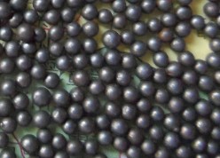 铸钢丸，合金钢丸