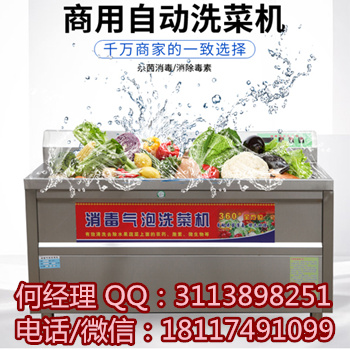 合肥消毒洗菜机