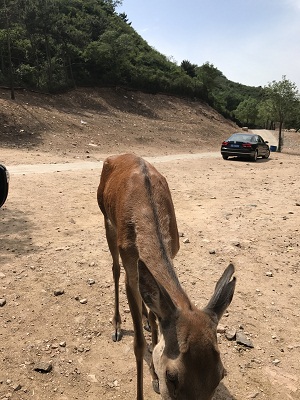 投资股权基金公司公司注册的程序