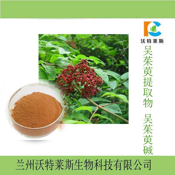 吴茱萸提取物10:1/漆辣子提取物/吴茱萸浸膏粉