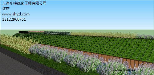 上海别墅植物绿化设计公司 办公室绿化价格 永柱供