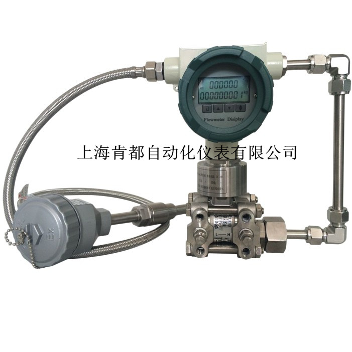 电池供电多参量变送器 显示温度压力瞬时流量累积流量