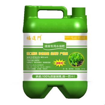 土豆苗用了福进门提苗专用肥实现高产
