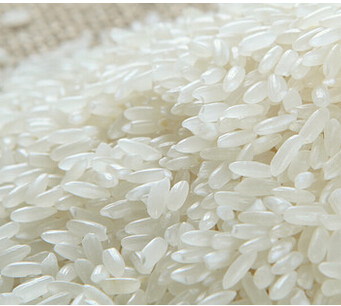长期采购大量大米碎米糯米
