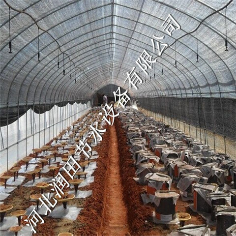 大棚微喷 安徽无为县微喷头离心网式过滤器