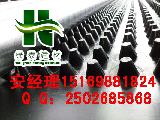 连云港车库绿化排水板1.2公分宿迁蓄排水板