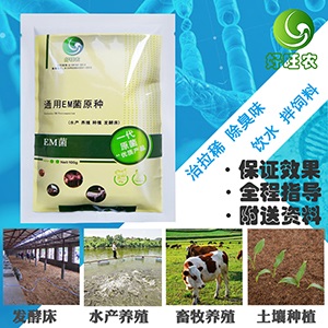 養殖em菌在養蜂中的實際功效