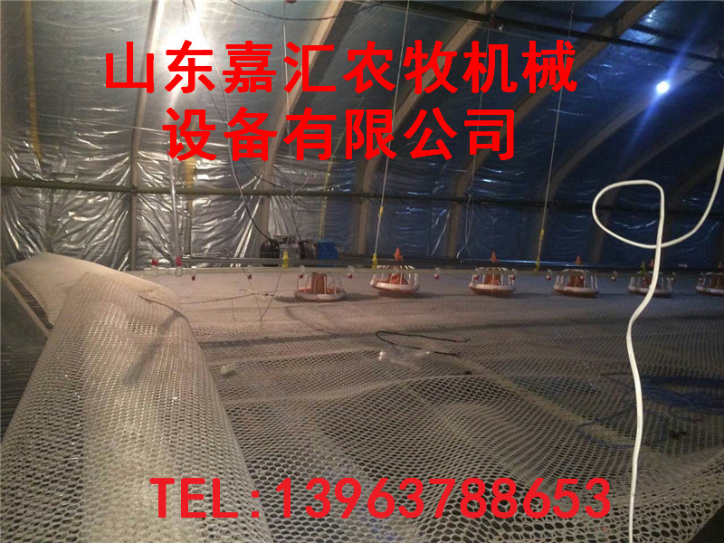 嘉汇机械供应销售今日新品鸡鸭料线