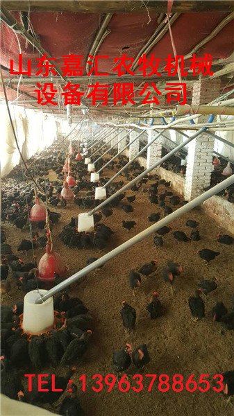 济宁嘉汇鸡鸭料线