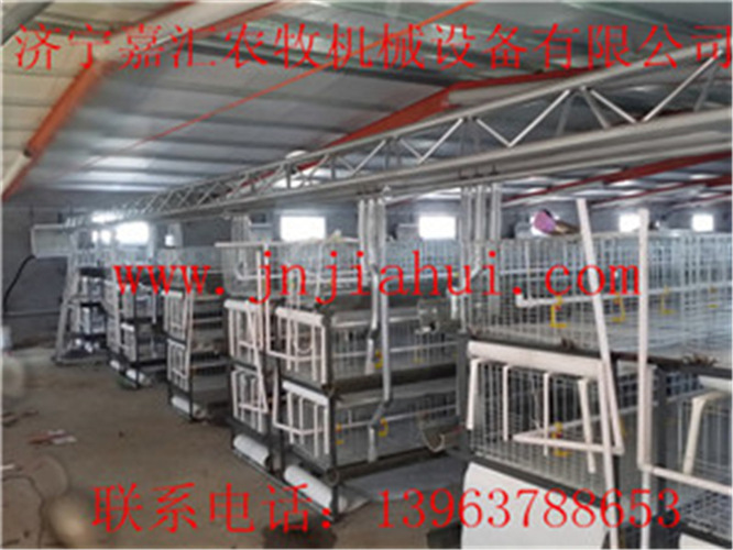 山东济宁嘉汇笼具