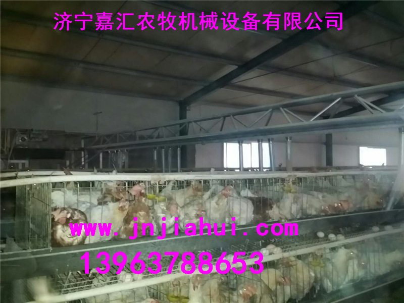 山东济宁嘉汇农牧上料机