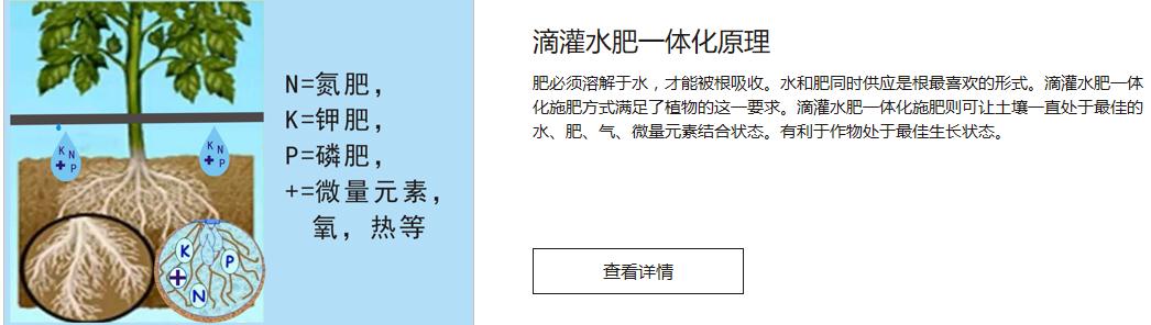 海口水肥一体化设备价格/火龙果水肥一体化技术/哈密瓜水肥一体化技术