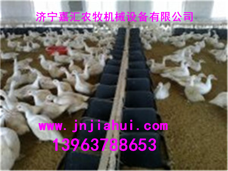 济宁嘉汇推出产蛋箱