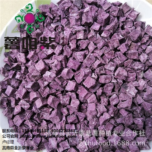 金沂蒙供临沂多款规格紫薯幼苗加工紫薯幼苗