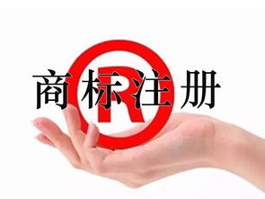 上海公司税务报到，代理记账