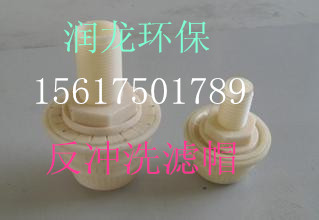 反冲洗滤帽厂家长期供应销售