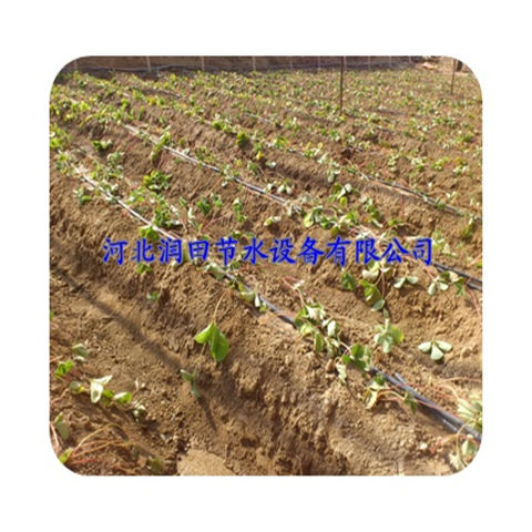 芜湖市无为县农用滴灌管-大棚滴灌管-领先企业-河北润田