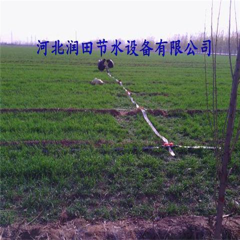 【微喷带用途】河北沧州市海兴县大田蔬菜灌溉用