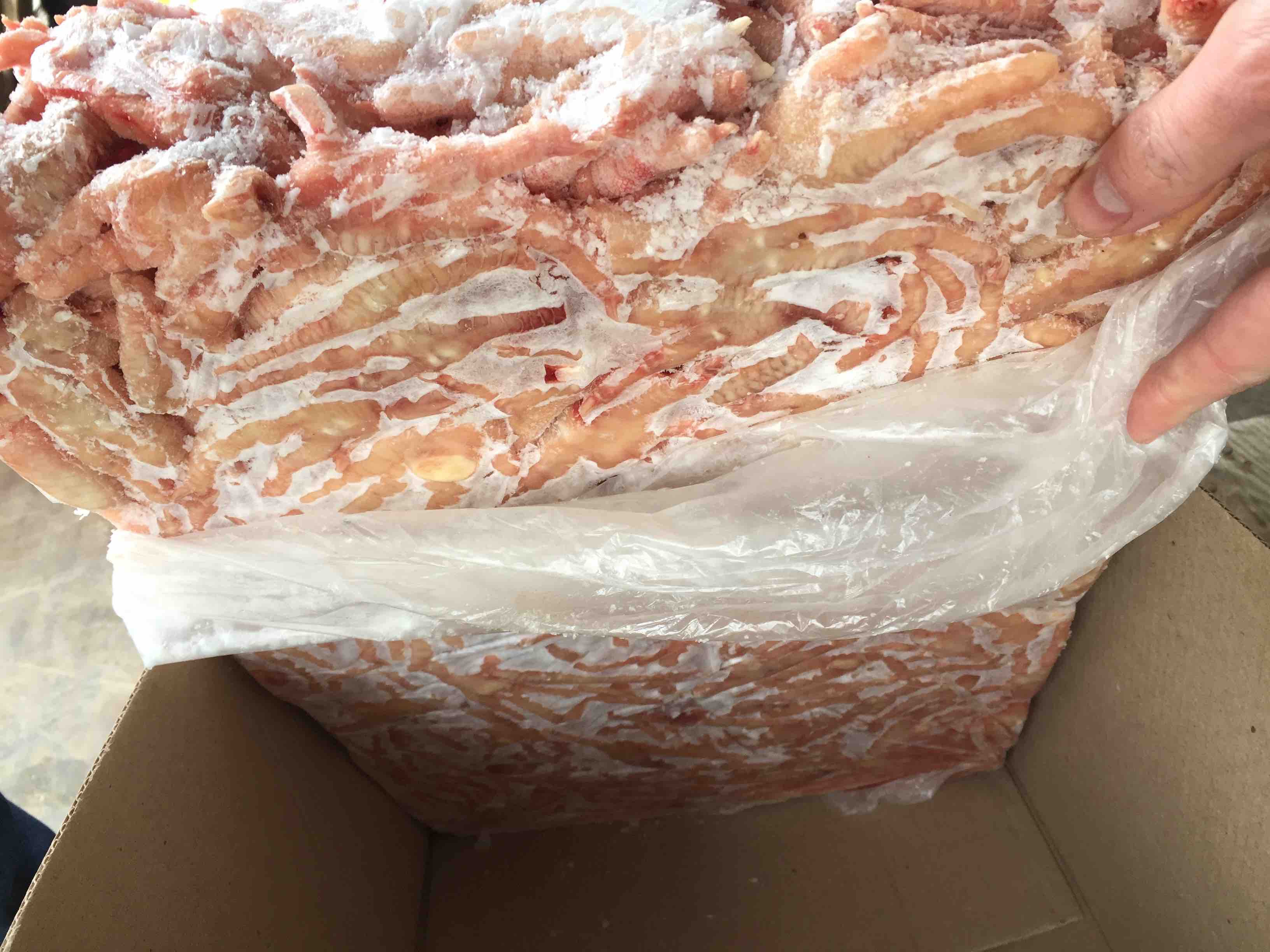 销售招商进口冷冻鸭爪,鸡爪,带鱼,猪脚,马小肠,猪肚