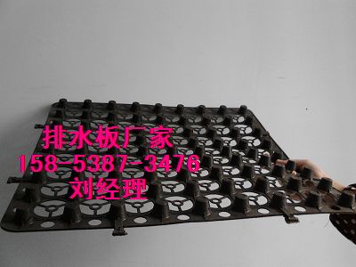 供应温州%塑料排水凸片△H12车库底板排水板