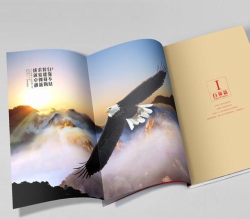 企业宣传册/画册-西安企业宣传册-大型企业宣传册策划